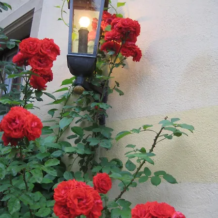 Romantik Markusturm Rothenburg ob der Tauber