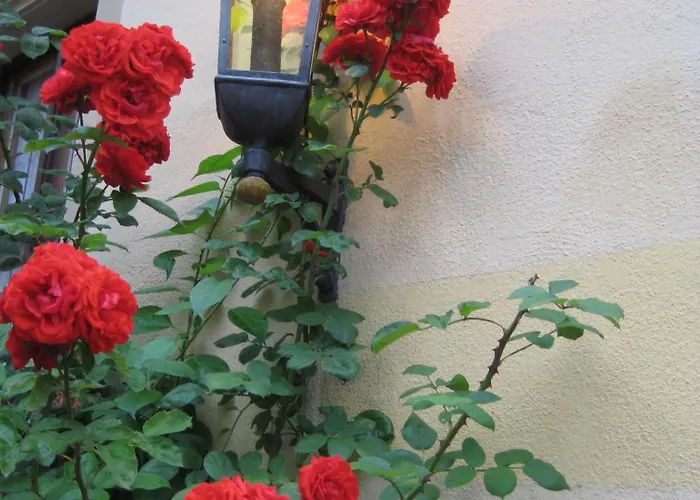 Romantik Markusturm Rothenburg ob der Tauber