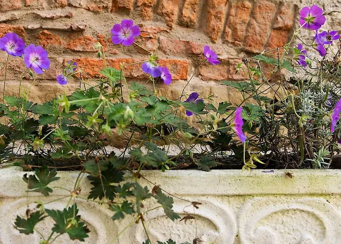 Romantik Markusturm Hotel
